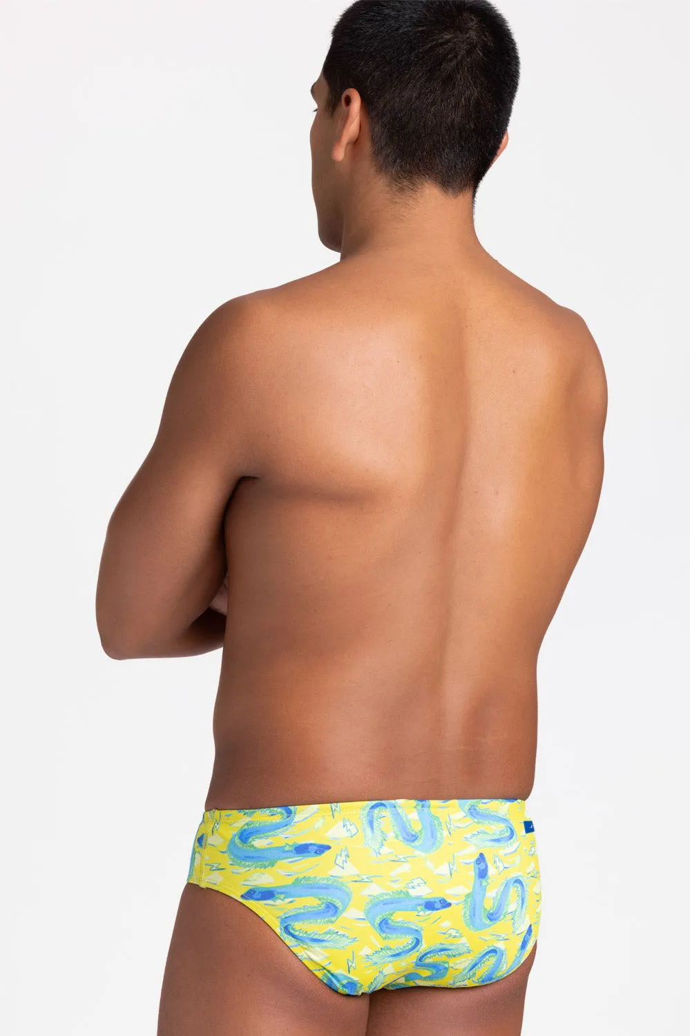 BROLYN Swim Brief - Eels