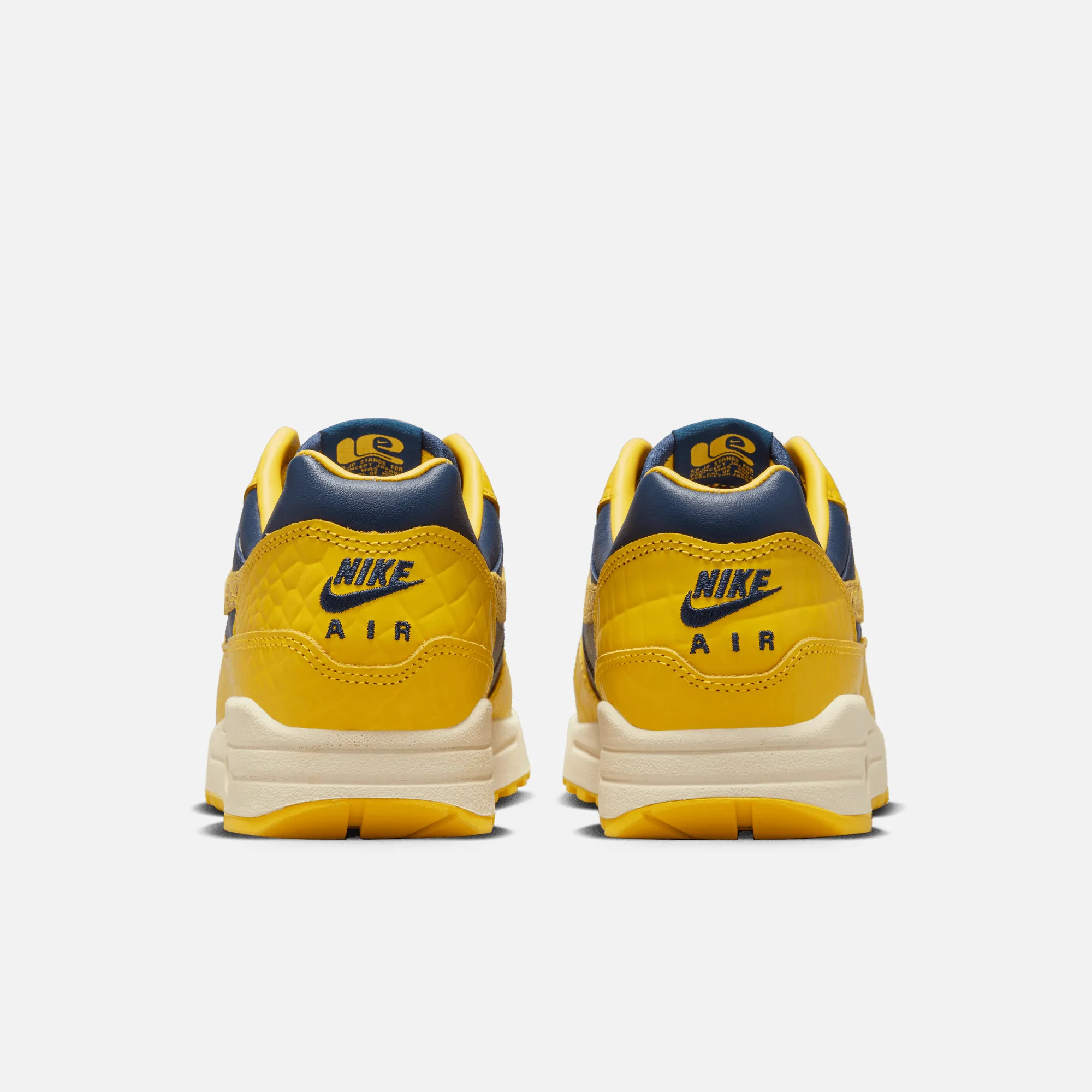 Nike Women's Air Max 1 CO.JP Michigan