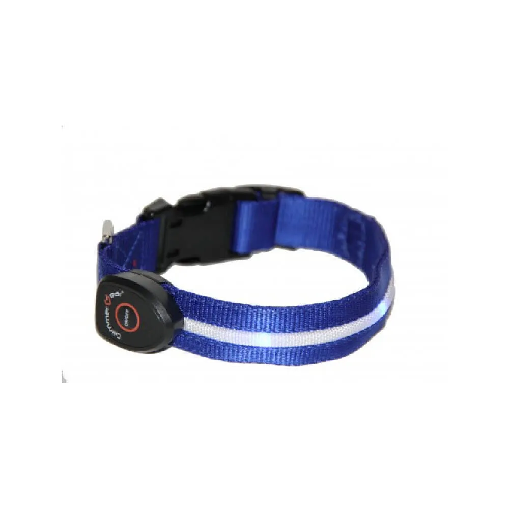 Rechargeable Light Up Dog Collar by Glimmer Gear