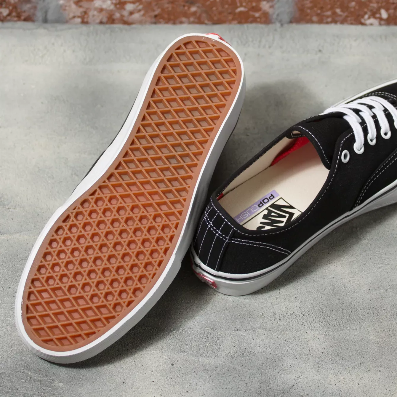 Vans Skate Authentic Shoes