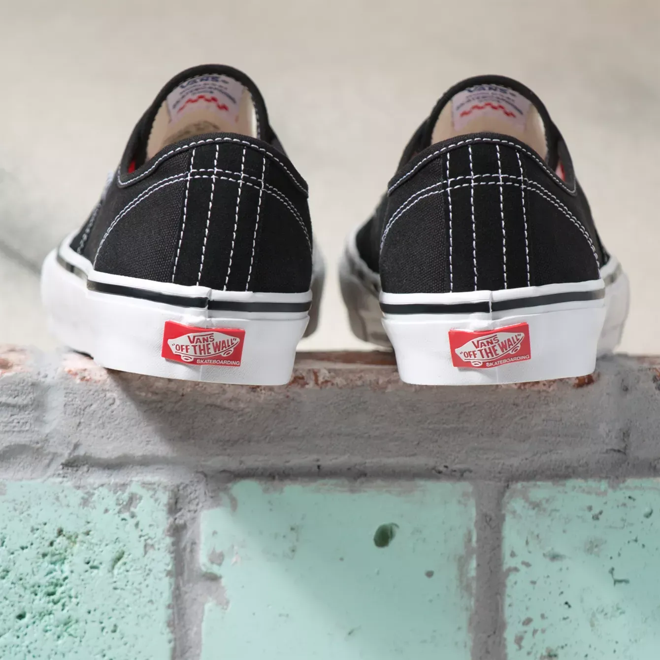 Vans Skate Authentic Shoes